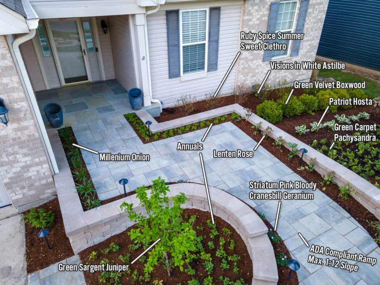 Landscape architect design with plants: Millenium Onion, Juniper, Clethro, Astilbe, Boxwood, Hosta, Pachysandra, Geranium.