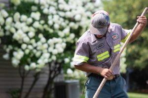 Landscaper raking mulch. Man doing yard work, landscaping service. Outdoor work.