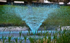 Blue commercial fountain in a pond with aquatic plants. Water feature.
