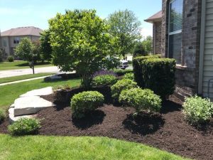 Landscaping with mulch, shrubs, and trees near a brick house. Lawn and stone pathway visible.