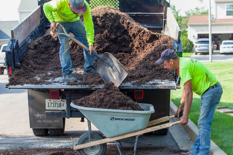 Commercial landscaping: Mulching services. Workers load mulch into a wheelbarrow from a truck.