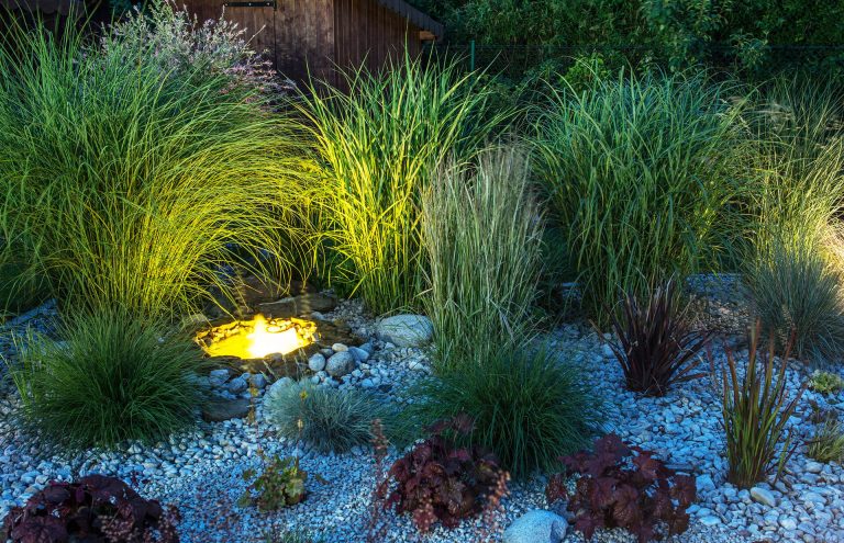 Photo of a garden illuminated by lights