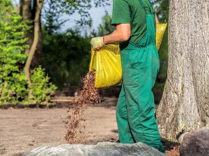 Photo of a landscaper spreading mulch in a garden from a large bag