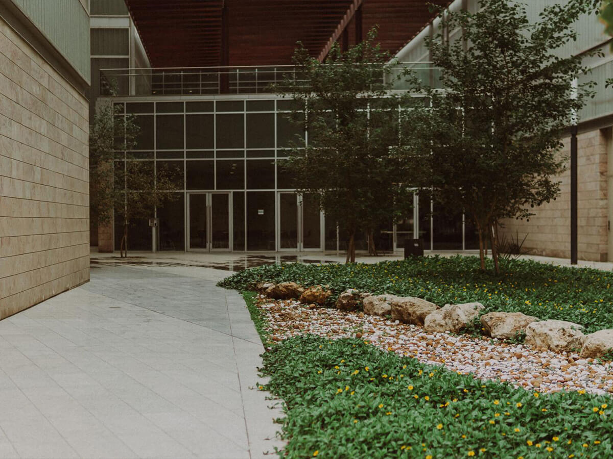 Modern commercial building courtyard with stone paths, gravel beds, and green landscaping featuring small yellow flowers.