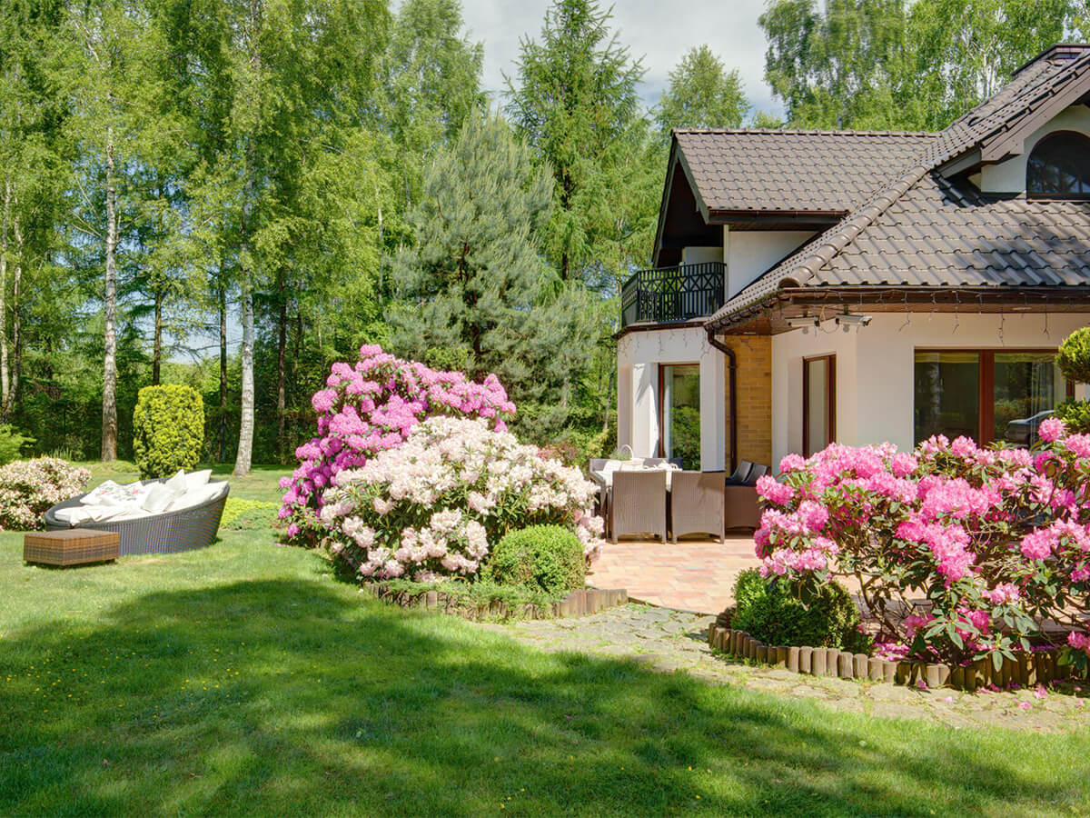 Blooming pink and white rhododendrons surround a brick patio and a house with a balcony in a lush residential garden.