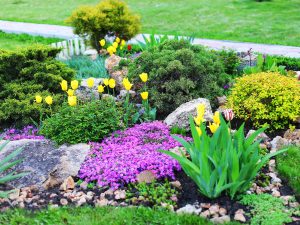 A Guide to the Best Plants for Landscaping in 2024