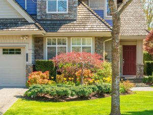 Landscaped front garden with red Japanese maple and yellow tulips in front of a modern residential home.