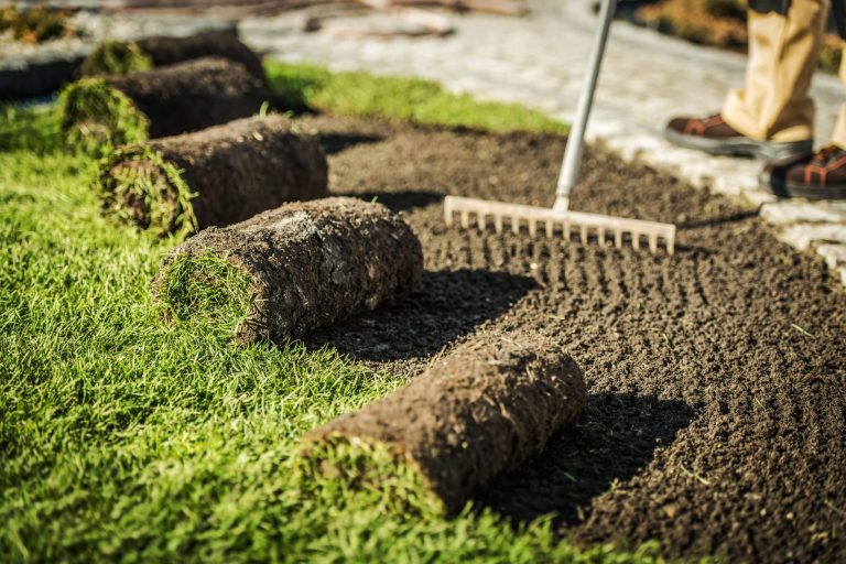 Sod installation. Lawn care contractor prepares area for new sod. Rolls of grass and rake.