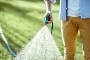 Man watering green lawn with hose. Lawn care, gardening, and irrigation concept.