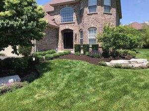 Landscaping with fresh mulch around bushes and lawn. Mulched garden bed in front of brick house. Lawn care.