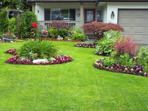 Photo of a landscaped front yard of a residential home